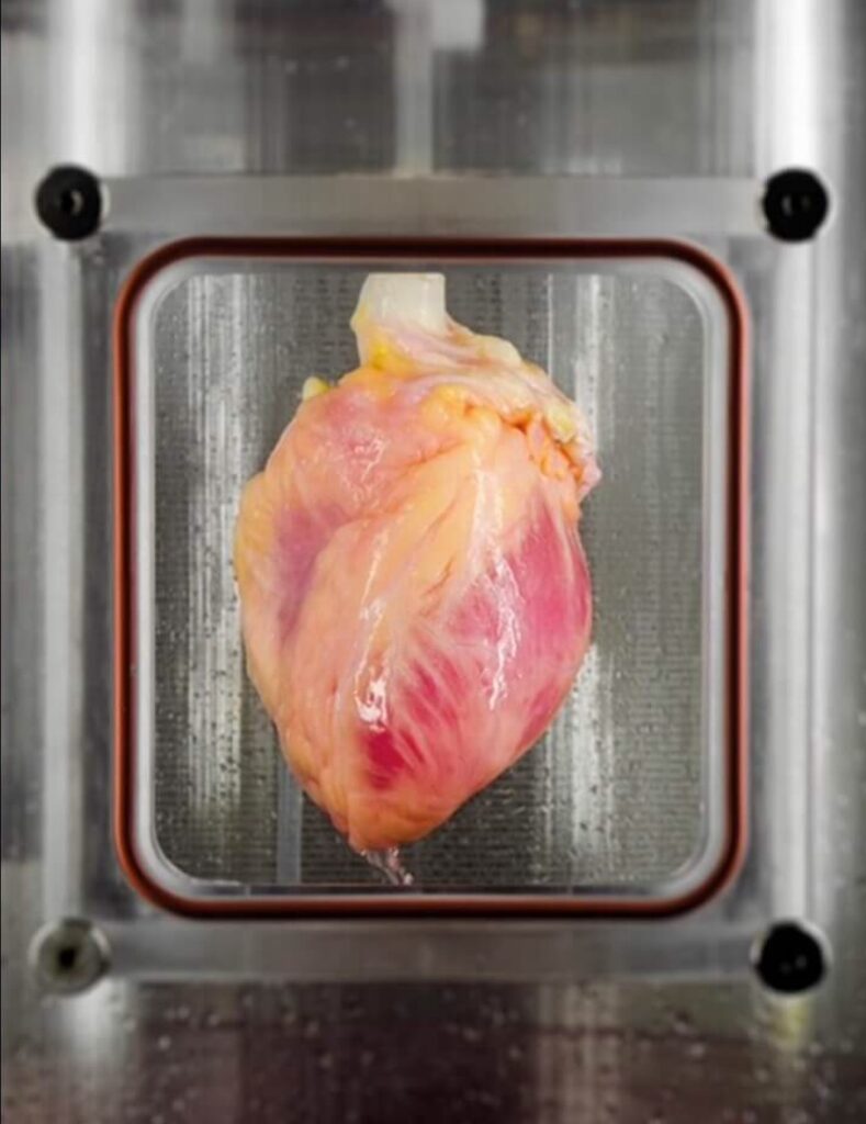3D-geprinte harten